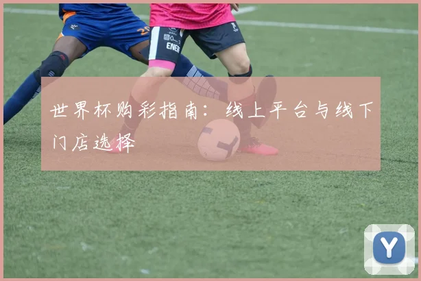 世界杯购彩指南：线上平台与线下门店选择