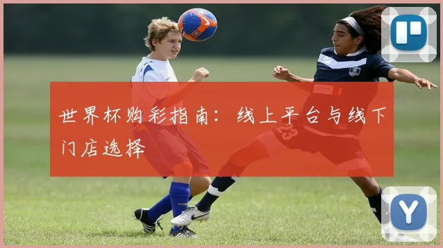 世界杯购彩指南：线上平台与线下门店选择